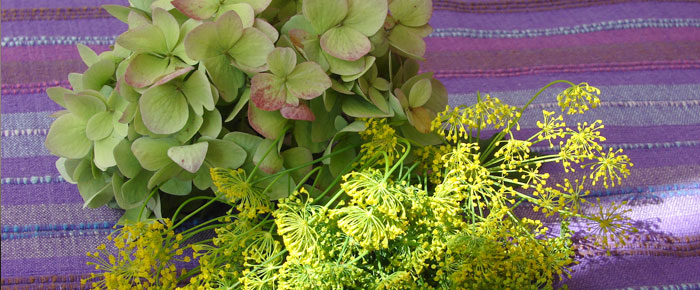 Preise für die Ferienwohnungen